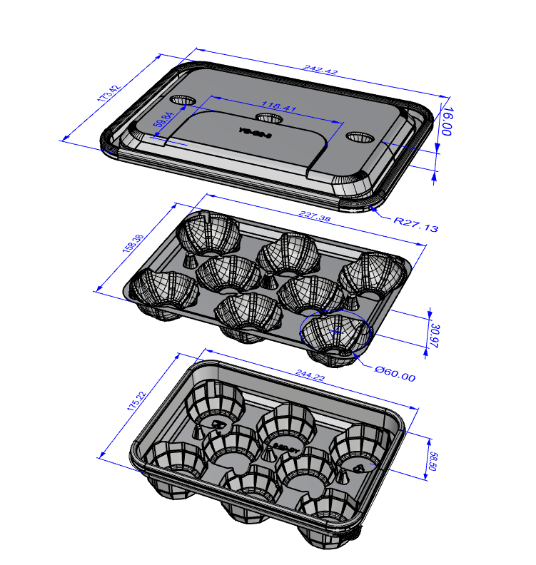 Exploded-view source drawing for the strawberry packaging structure